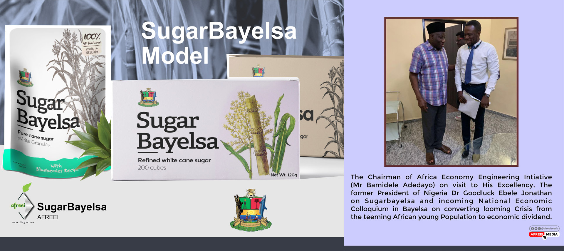 AFREEI President with former Nigerian President Dr. Goodluck Ebele Jonathan during engagement connected with the SUGAR BAYELSA project