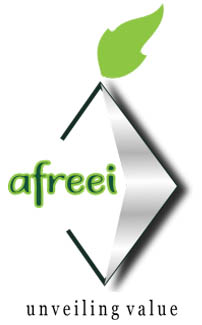 AFREEI — Africa Economy Engineering Initiative